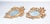 Louis XV Mirrors in Gilded Ceramic, Set of 2 For Sale - Image 5 of 18