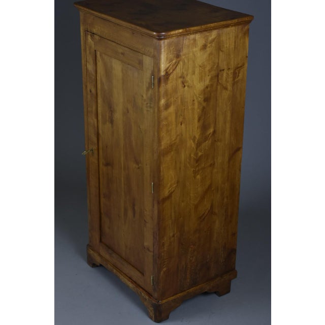 Brown Tall Birch Cabinet, 1920s For Sale - Image 8 of 11