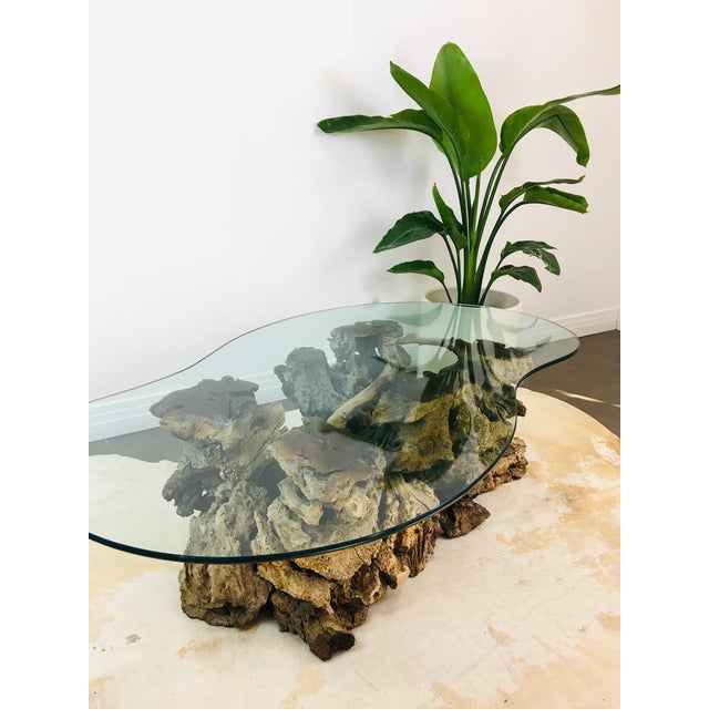 Mid-Century Modern Vintage 1970s Burlwood Driftwood Sculptural Glass Top Coffee Table For Sale - Image 3 of 11