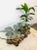 Mid-Century Modern Vintage 1970s Burlwood Driftwood Sculptural Glass Top Coffee Table For Sale - Image 3 of 11