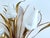 Large Vintage Bouquet Wall Light from Kögl For Sale - Image 14 of 17
