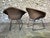 Diamond Chairs by Harry Bertoia for Knoll, 1970s, Set of 2 For Sale - Image 11 of 15