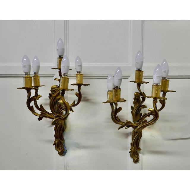 Metal Large French Brass 5 Branch Wall Lights, 1960s, Set of 2 For Sale - Image 7 of 8