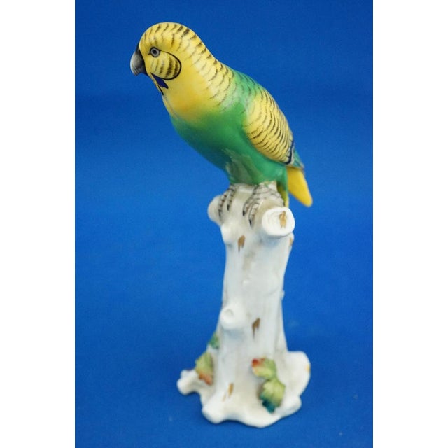 Porcelain Sculpture of Parrot Figurine by Real Casa Ferdinandea or Ginori Doccia, Italy, 1700s-1800s For Sale - Image 10 of 18