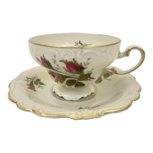 Rosenthal Footed Demitasse Cup and Saucer Set Moss Rose Pompadour Porcelain 1958
