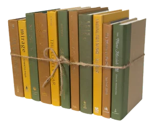 Decorative Books - Maize Book Bundle - 1 Foot of Yellow Books