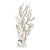 Exceptional Natural Octopus Coral on Acrylic Base For Sale