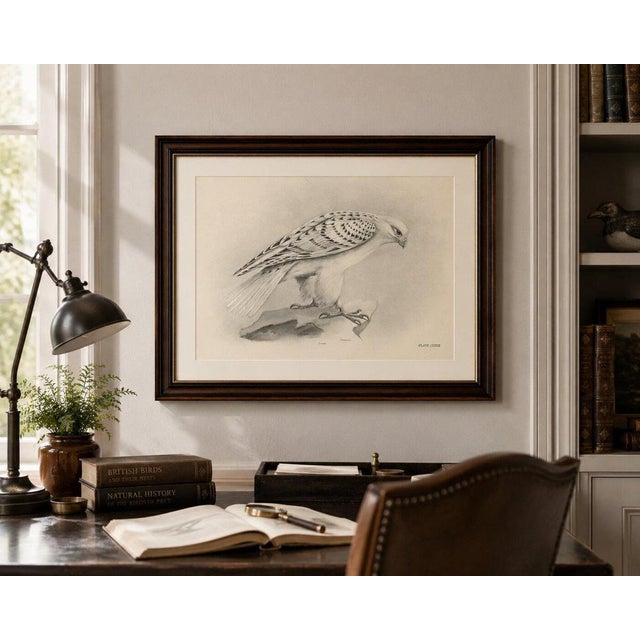 Paper Lilian M. Medland, Greenland Gyrfalcon Bird, 1908, Monochrome Ornithological Plate For Sale - Image 7 of 9
