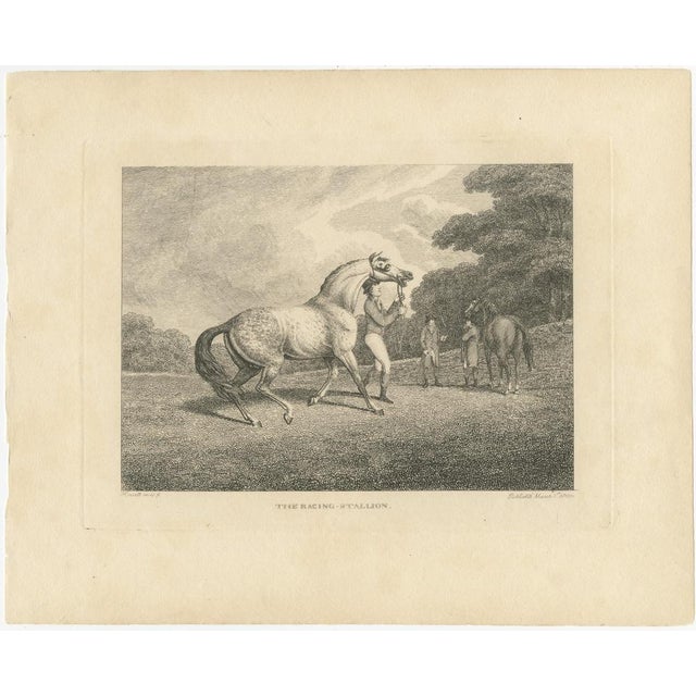 Samuel Howitt, The Racing Stallion, 1800, Engraving For Sale - Image 3 of 9