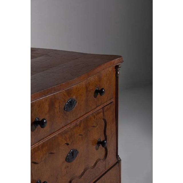 Wood Italian Sicilian Chest of Drawers in Briar Wood, Late 1800s For Sale - Image 7 of 11