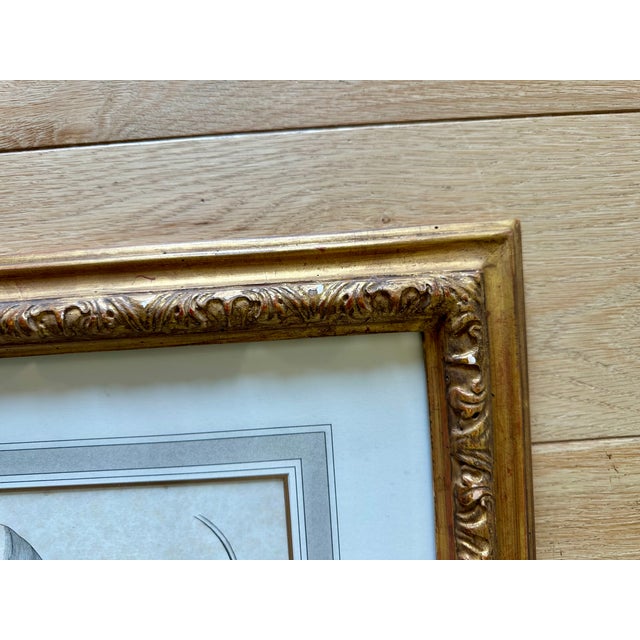 Dennis & Leen Botanical Print With Gilded Frame – DL-Art 42 For Sale - Image 9 of 14
