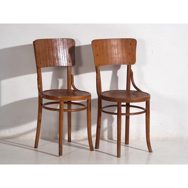 Bentwood Chairs attributed to Michael Thonet, 1940s, Set of 4 For Sale - Image 9 of 12