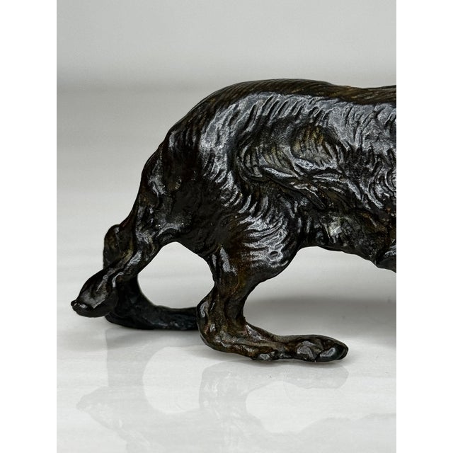 Antique Miniature Austrian Bronze Long Haired Dachshund Sculpture Circa 1900 For Sale - Image 4 of 18