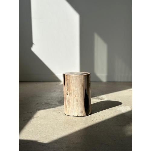 Side Table in White Petrified Wood with Black Spots For Sale - Image 13 of 18