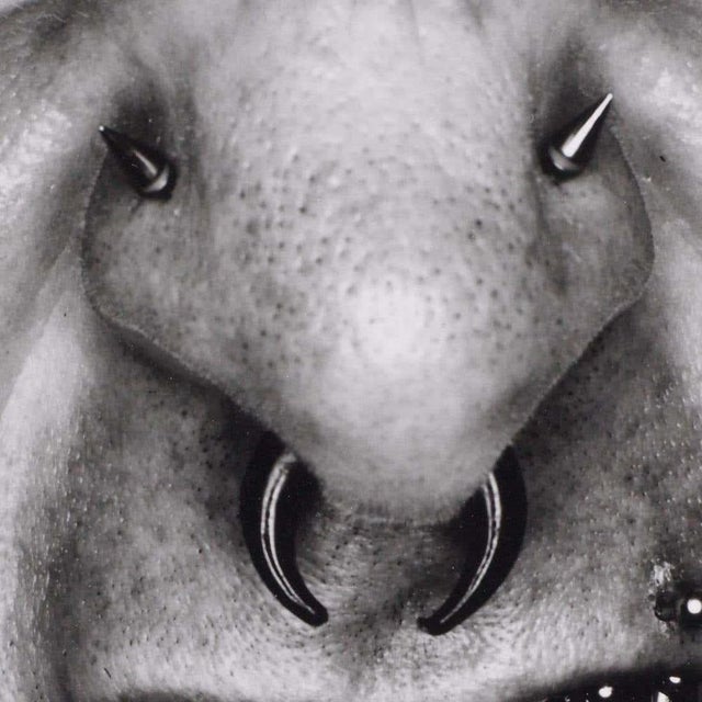 Miquel Arnal, Black & White Image, 1990, Photograph For Sale - Image 6 of 9