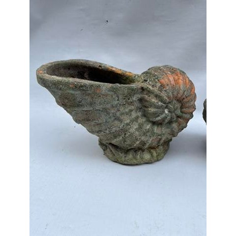 Brown Terracotta Shell Planters a Pair For Sale - Image 8 of 11