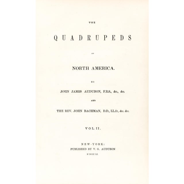 Realism 1851 Audubon Quadruped Octavo Lithograph "Plate 100 Missouri Mouse" For Sale - Image 3 of 4