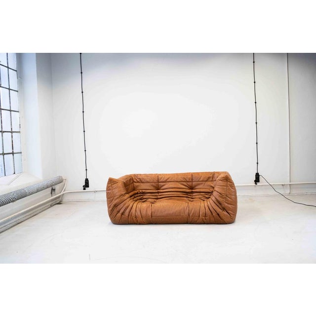 Brown Vintage Two-Seater Togo Sofa with Arms in Brown Pine Leather by Michel Ducaroy for Ligne Roset, 1970s For Sale - Image 8 of 18