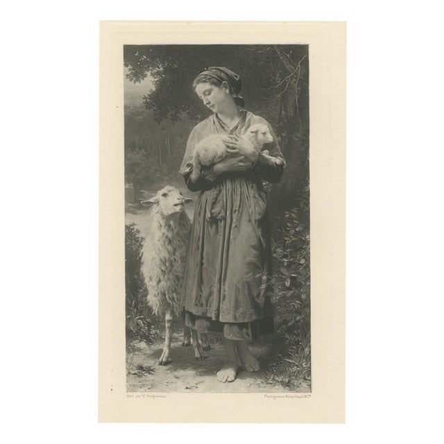 After William Bouguereau, The Newborn Lamb, 1880, Engraving For Sale