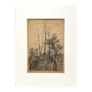 1928 Charcoal on Paper, Wooded Landscape by Artist Harold Haydon