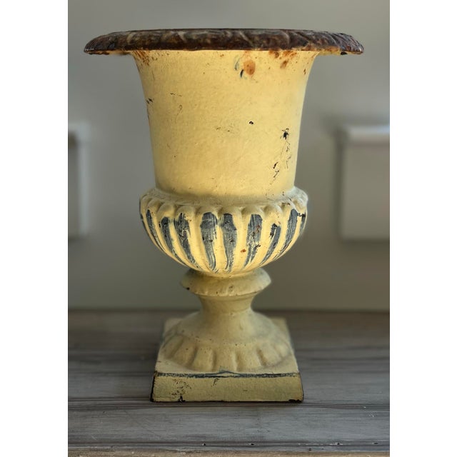 Mid-Century Petite Cast Iron Medici Style Garden Urn in Pale Buttercup Yellow For Sale - Image 12 of 12