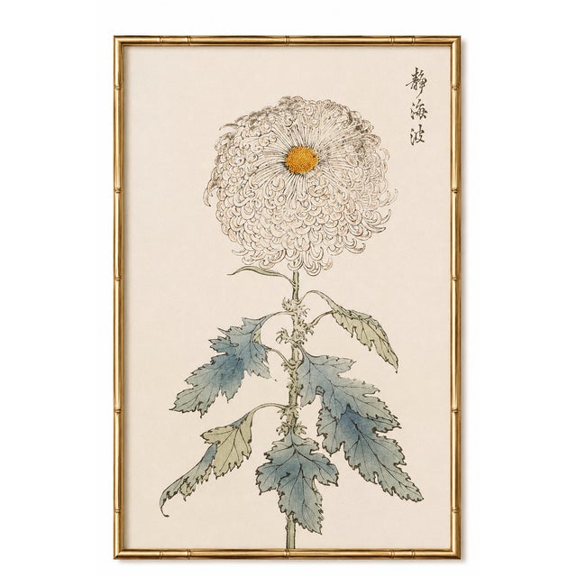 White Pompon Mum by Hasegawa, Vintage Japanese Botanical Art Print, 8" X 12" For Sale In Buffalo - Image 6 of 8
