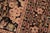 1990s Art Nouveau 1990's Pak-Persian Black/Green Wool Rug - 5'11'' X 9'1'' For Sale - Image 5 of 9