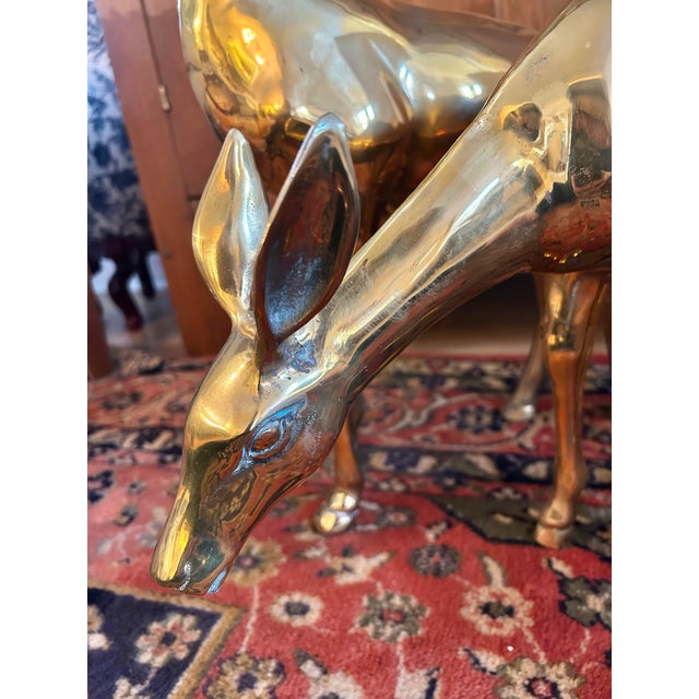 Mid 20th Century Large Polished Brass Deer Statues - A Pair For Sale - Image 4 of 11