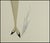 Art Deco Early 20th Century Robe a Zip, Erté For Sale - Image 3 of 6