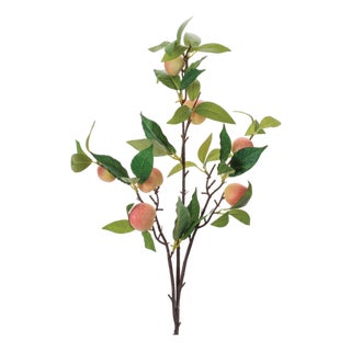 Peach Fruit Foliage Branch (Set of 6) For Sale