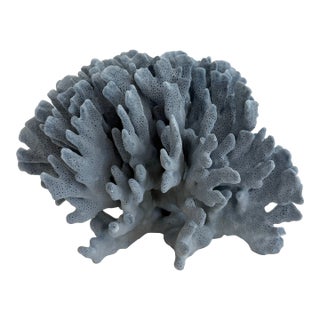 Natural Blue Coral Specimen Coastal Decor For Sale