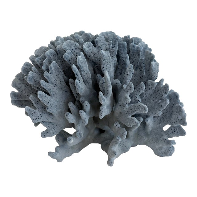Natural Blue Coral Specimen Coastal Decor For Sale