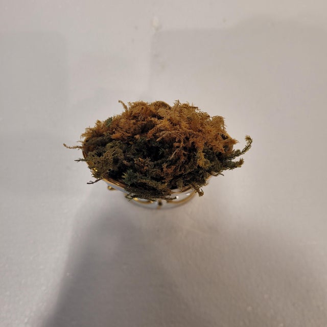 Porcelain Vase from Vieux Paris, France, 1930s For Sale - Image 9 of 13