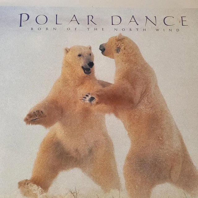 Polar Dance Hardcover Coffeetable Book, Vintage For Sale - Image 9 of 9