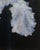 “Bearded Iris” Impressionistic Oil Painting by Jack Follmer For Sale - Image 4 of 6