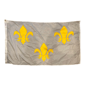 Late 20th Century Vintage French Fleur De Lis Flag