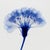 Contemporary Abstract Blue Botanical Limited Edition Fine Art Print No. 3 | Organic Modern For Sale - Image 3 of 3