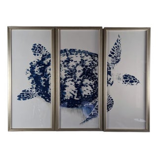 Stuart Redler, Blue Turtle, 2000s, Digital Print For Sale