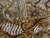 Indian Tapestry With Hand Sewn Beading For Sale - Image 4 of 12
