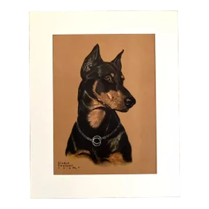 Vintage 1947 Gladys Emerson Cook Dog Print in 16x20 Mat: The Doberman Pinscher