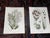 Realism Antique 19th Century Botanical Lithographs - Set of 12 For Sale - Image 3 of 9