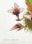 Illustration Large Orchid Giclee Prints Hand-Retouched by Angela Mirro - Set of Three Framed Prints - For Sale - Image 3 of 18