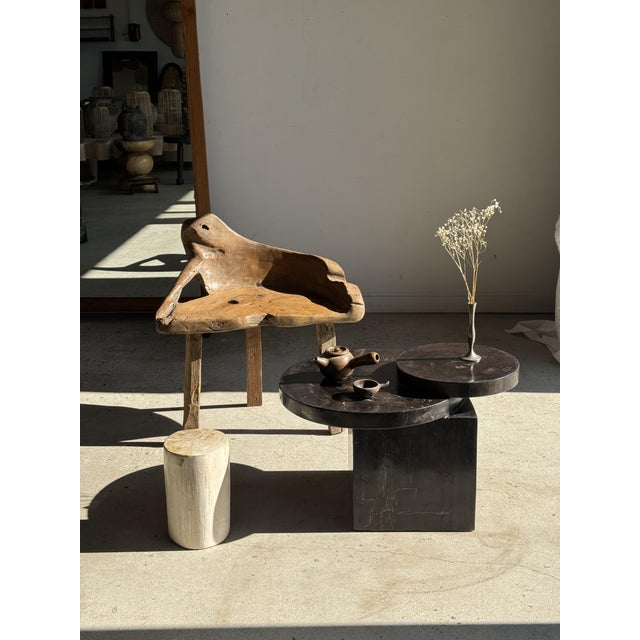 Contemporary Coffee Table in Brown Petrified Wood with Double Circular Top on Cubic Base, Indonesia, 1980s For Sale - Image 3 of 16