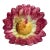 French Majolica Red Daisy Card Holder Delphin Massier, Circa 1890 For Sale