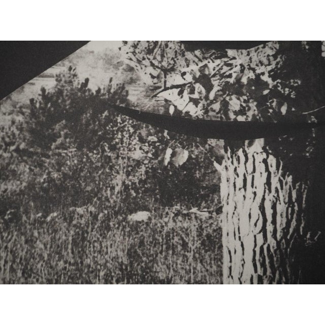 Modern Pablo Picasso, Diurnes, The Stripped Corrigan, Original Collotype For Sale - Image 3 of 6