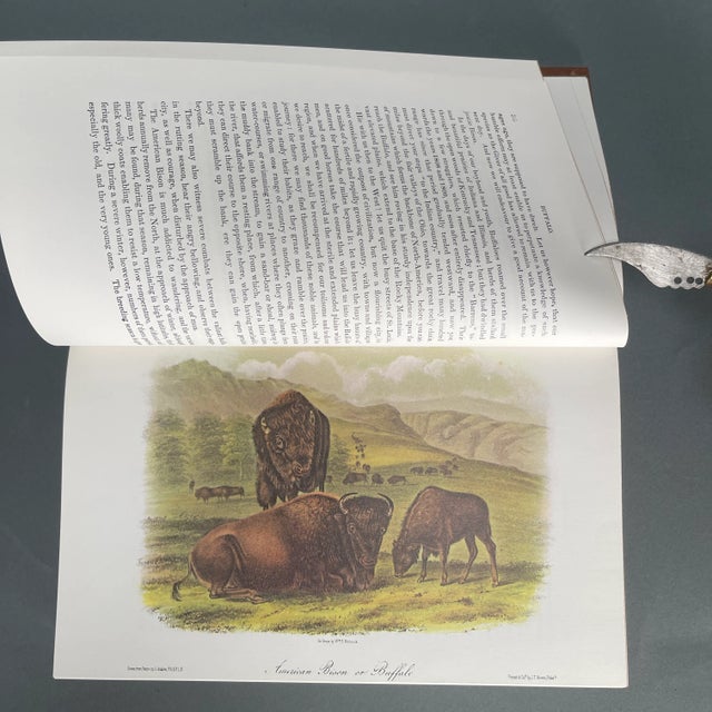 Vintage '79 Complete Audubon Vol. 5 National Society 75th Anniversary Ed. W/ Box For Sale - Image 11 of 12