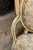 Pair George III Open Arm Chairs in C. 1970's Fortuny For Sale - Image 11 of 12
