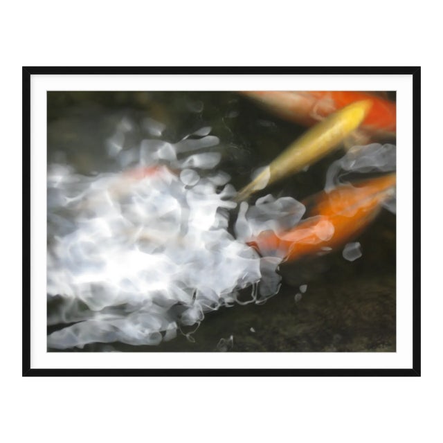 "Koi 2" 18"x24" Contemporary Color Photograph Black Frame by Dorothy Solomon For Sale