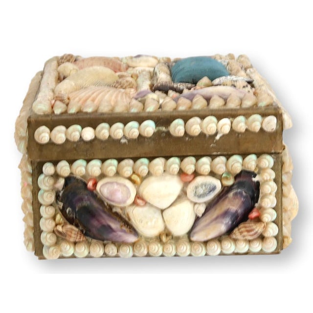 French seaside souvenir box lavishly decorated with an intricate mosaic of natural shells in soft cream, blush, coral, and...