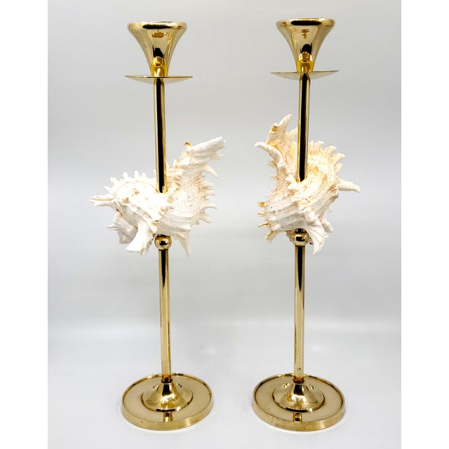 1960s Brass Candlesticks Shells Seashells Pair For Sale - Image 5 of 15